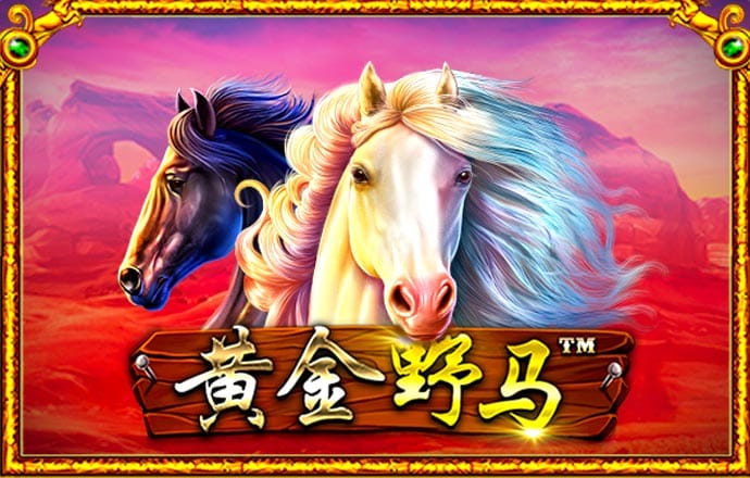 亚盈体育平台app下载最新版