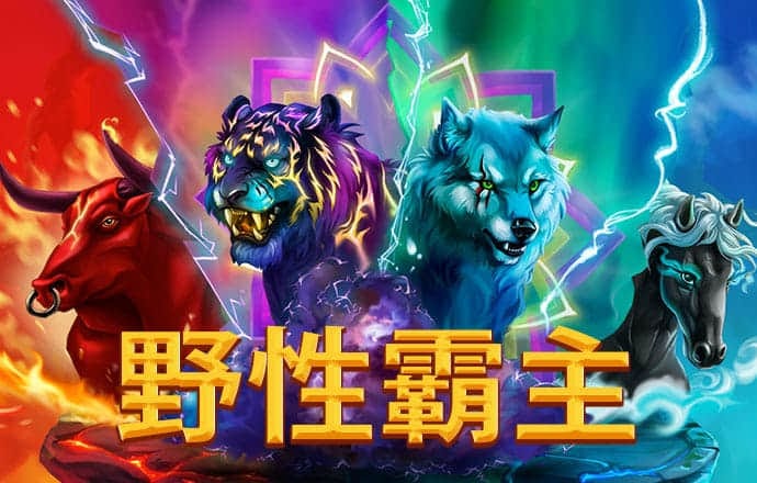 9球体育官网